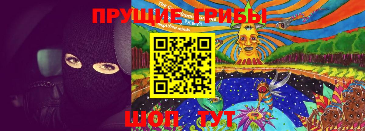 Псилоцибиновые грибы Psilocybine cubensis Десногорск