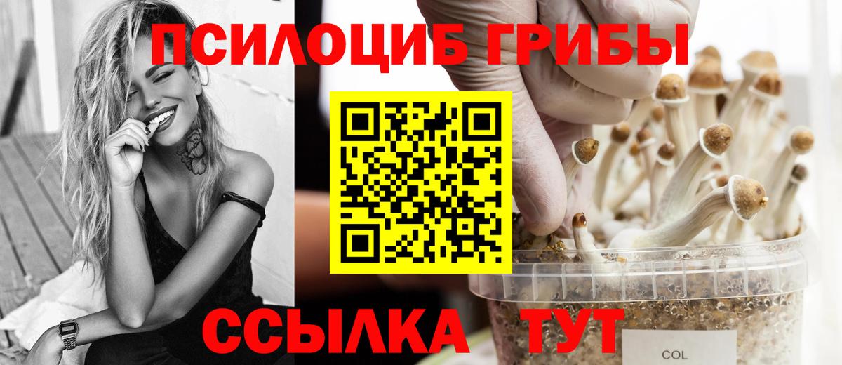 Галлюциногенные грибы мухоморы  где найти наркотики  Вход с VPN  Десногорск  Галлюциногенные грибы прущие грибы 